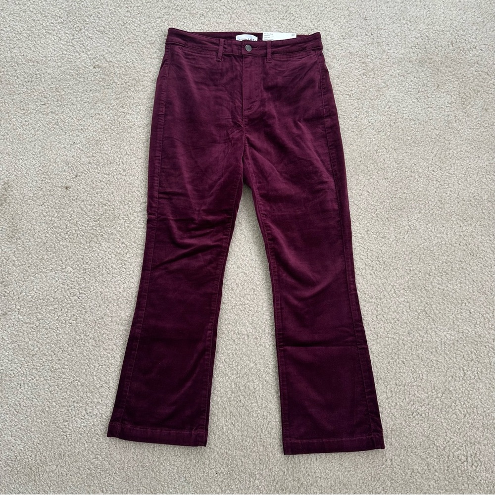 LOFT Burgundy Velvet Kick Crop Pants (Curvy)